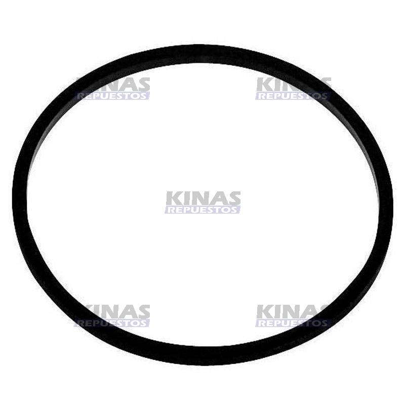 ANILLO GOMA UNIDAD INYECTORA/VALVULA COMBUSTIBLE MOTOR HPI R380/420 | 1778301
