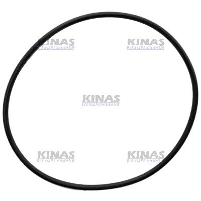 GOMA VEDACION EJE DELANTERO NEW HOLLAND 7630/8030 CARRARO | 4966231