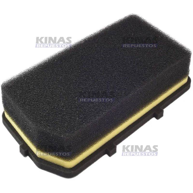 FILTRO AIRE MOTOR MAHINDRA | H24M2011/0313AC2261N