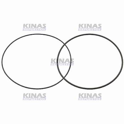 KIT/JG ANILLO GOMA CAMISA MOTOR SCANIA 114/124/S4 (GROSSO/FINO) | SAB-79402/1328995/10.36.453