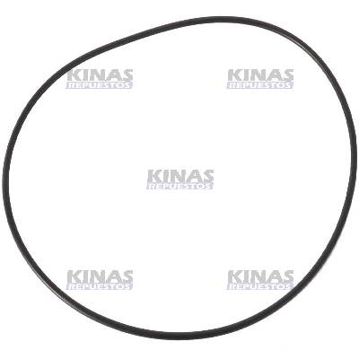 ANILLO/GOMA EJE CENTRAL TRACION DELANTERA VALMET/TALTRA BH160 CARRARO | 81882800