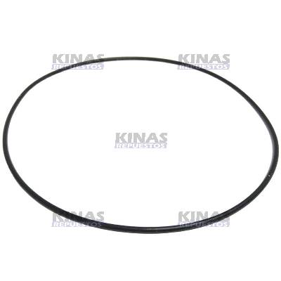GOMA ANILLO RETEN EJE TOMADA FUERZA MF275/285 | 195522