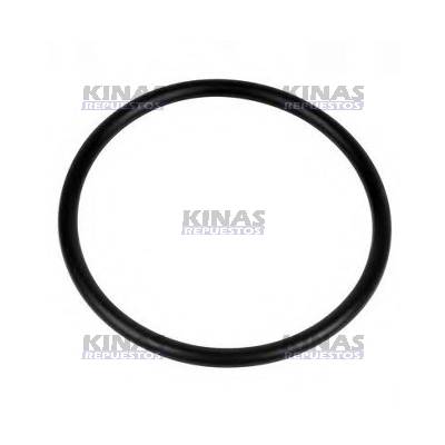 GOMA FLOTADOR TANQUE COMBUSTIBLE SCANIA 113/S4 | 242857/10025/203.148/4.20023