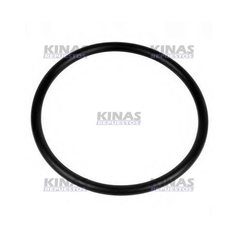 GOMA FLOTADOR TANQUE COMBUSTIBLE SCANIA 113/S4 | 242857/10025/203.148/4.20023
