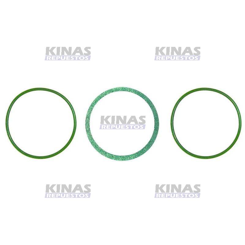 KIT ANILLO GOMA CAMISA MOTOR SCANIA 113 ECO2 | 75120