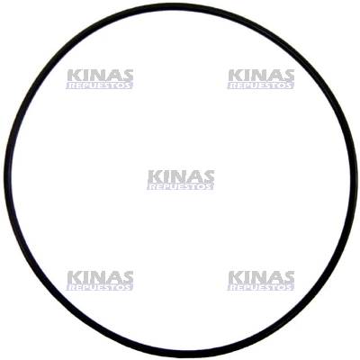 ANILLO/GOMA MORINGA CAMBIO SCANIA 112/113 204X4 GR870/GR871 10 MARCHAS NEGRO | 1309563C