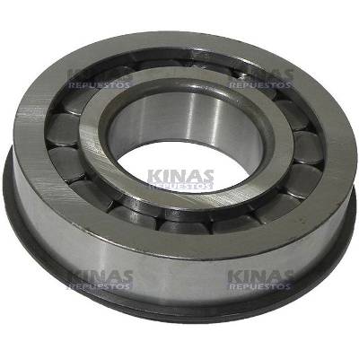 RULEMAN PUNTA PINON BERSO DIFERENCIAL SCANIA 112/113 | 61211/19002/NJ309/315824/F45917